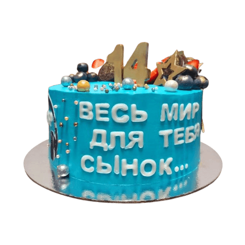 Торт весь мир для тебя сынок